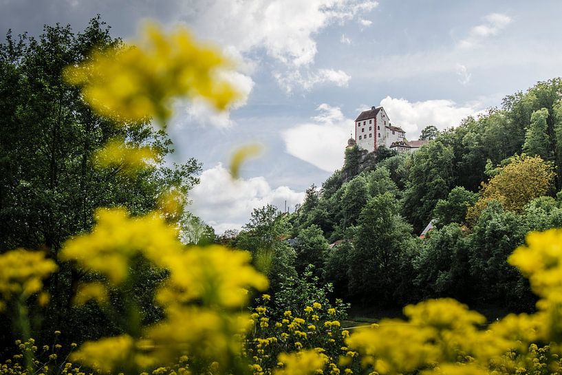 Burg Egloffstein im Frühling von Timothy Morrell