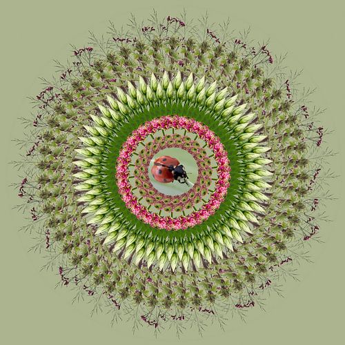 mandala uit de natuur