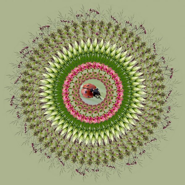 Natur Mandala von Klaartje Majoor