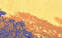 Bali Schatten an der Wand 3