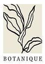 Botanique minimalistische kunst, botanische kunst, boho kunst van Hella Maas thumbnail