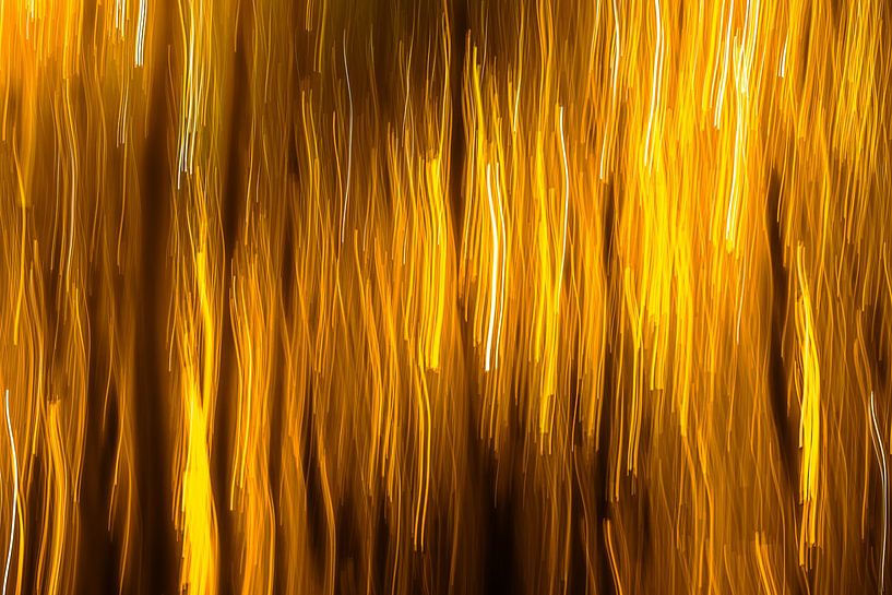 Golden rain, abstract by Yanuschka | Fotografie Noordwijk