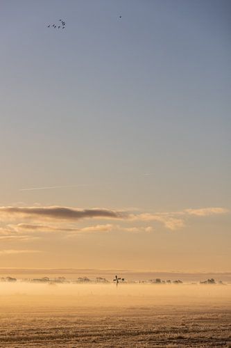 Klein windmolentje in de mist