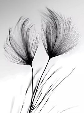 Abstract black white feathers by haroulita