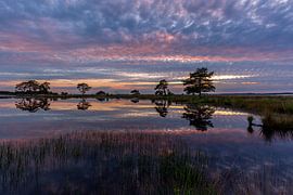 Landschap Drenthe van Andy Luberti
