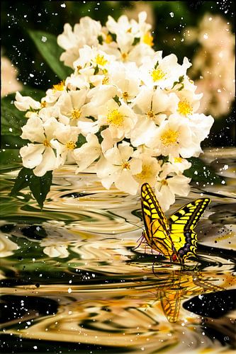 Zwaluwstaart in bloeiend water van Christine Nöhmeier