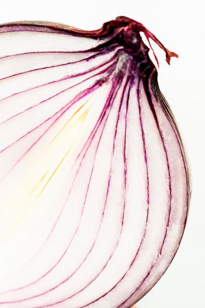 Nature morte de l'oignon rouge par Doris van Meggelen