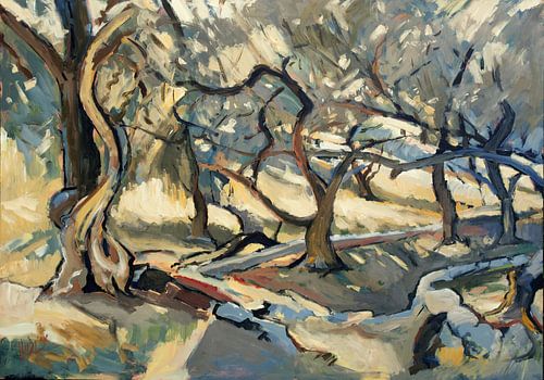 Olive grove in Loggos