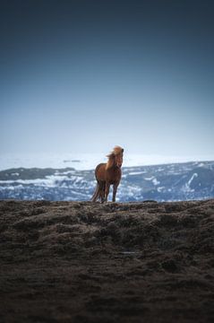 Beheerste Wildernis van Tales of Justin