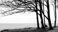 Bench by the sea by Heiko Westphalen thumbnail