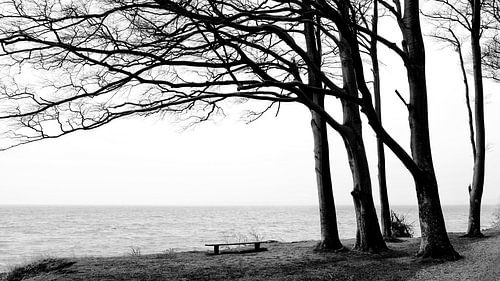 Bench by the sea by Heiko Westphalen