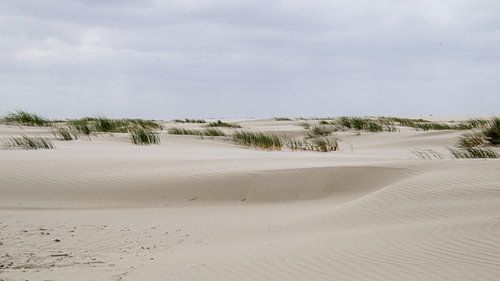 Westerstrand, Schiermonnikoog