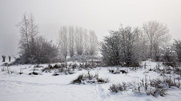 Winter in Geuldal @ Stokhem van Rob Boon