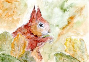 Eichhörnchen von Sandra Steinke