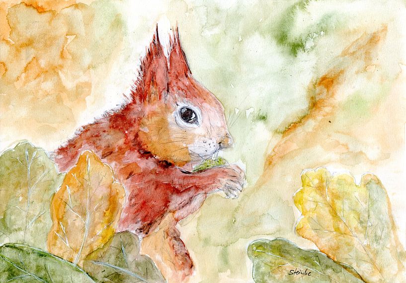 Squirrel by Sandra Steinke