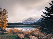 Campingplatz Wasservogelseen, Alberta, Kanada von Daan Duvillier | Dsquared Photography Miniaturansicht