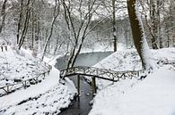 Winter op Landgoed Elswout par Michel van Kooten Aperçu