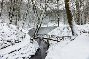 Winter op Landgoed Elswout sur Michel van Kooten