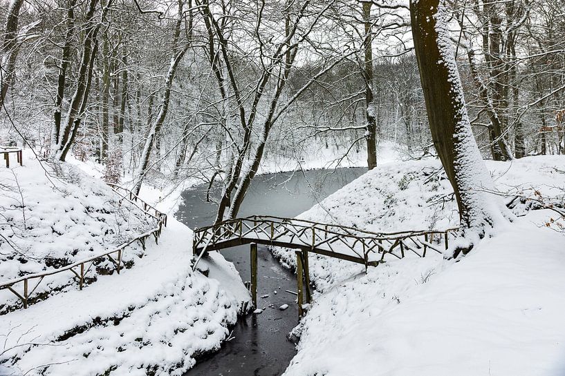 Winter op Landgoed Elswout van Michel van Kooten