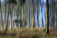 moving woods by Marieke de Boer thumbnail
