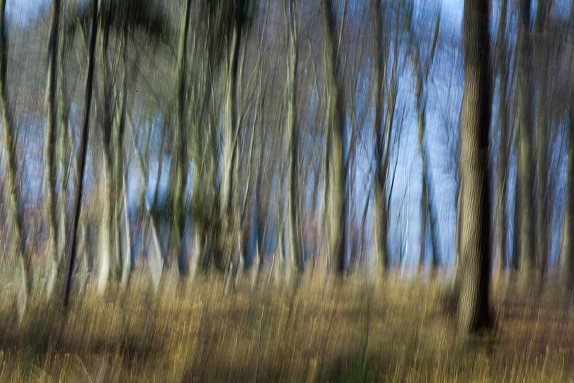 moving woods by Marieke de Boer