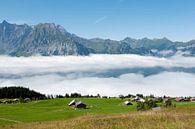 Landschaft im Sommer in der Schweiz von Ivonne Wierink Miniaturansicht