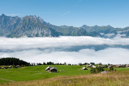 Landschap in de zomer in  in Zwitserland
