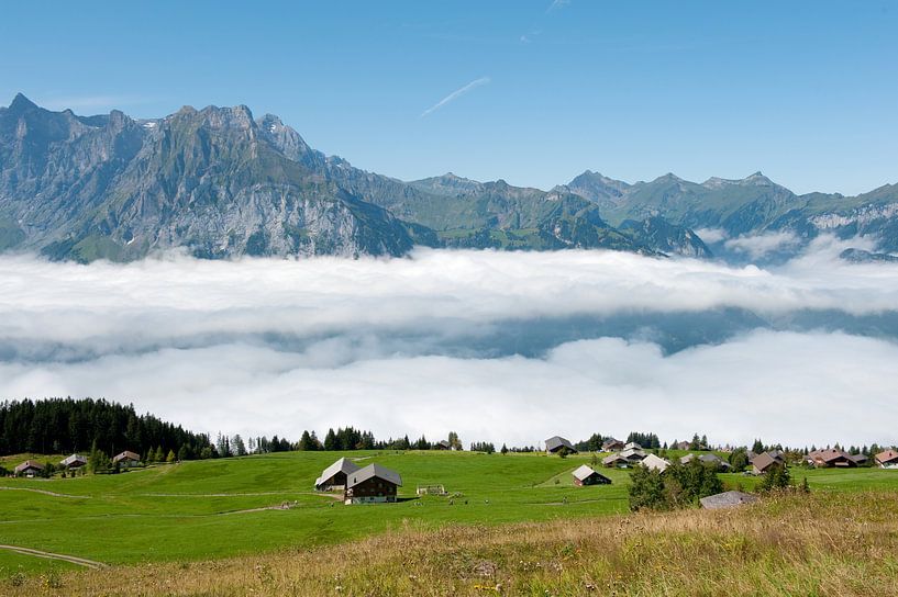 Landschaft im Sommer in der Schweiz von Ivonne Wierink