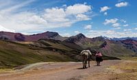 colorful peru