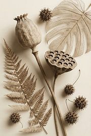 Archives de la nature