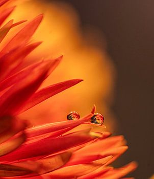 Die Sonne und die Wassertropfen