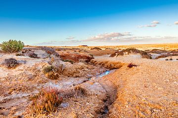 Landschap foto zoutwoestijn van VIDEOMUNDUM