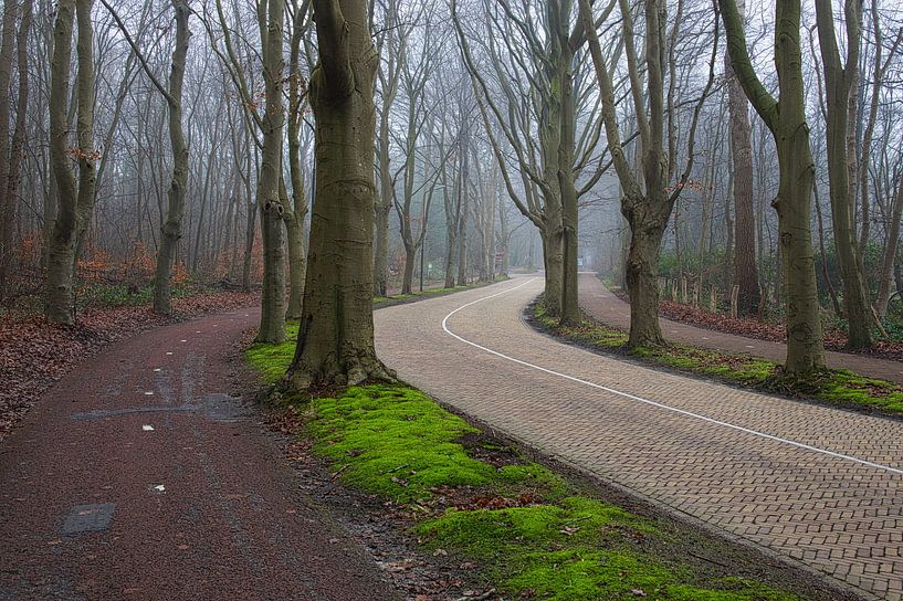 Bend in the Eeuwigelaan in Bergen by peterheinspictures