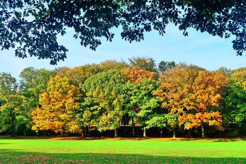 Herfst 7 van Edgar Schermaul