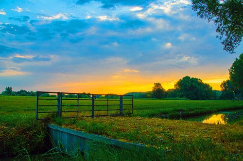 Matin dans la prairie
