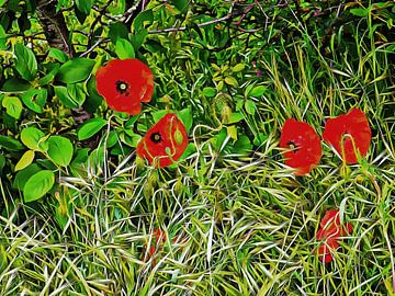 Poppy And Grass Medley van Dorothy Berry-Lound