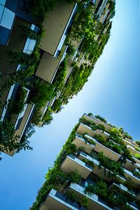 Bosco Verticale Mailand Baumhäuser von altmodern