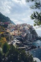 Viewpoint on Manarola, Cinque Terre