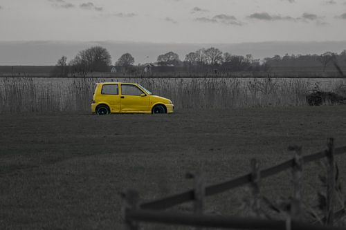 Small yellow car as a piece of art in the meadow in front of the lake.