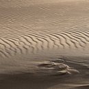 zand en licht van Arjan van Duijvenboden thumbnail