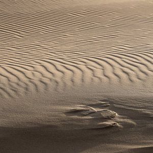 Sand und Licht von Arjan van Duijvenboden