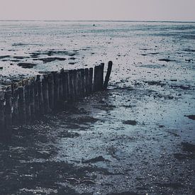 Landschap van de Waddenzee. Moddergat, Friesland. van Denise Tiggelman