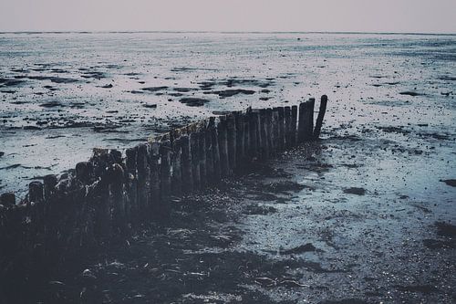 Landschap van de Waddenzee. Moddergat, Friesland.