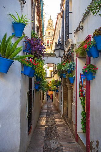 Cordoba