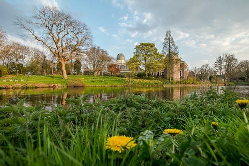 Low perspective with a view on the Botanical garden and observatory of Leiden by Wesley Guijt