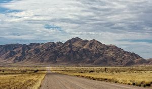 sur le chemin en namibie