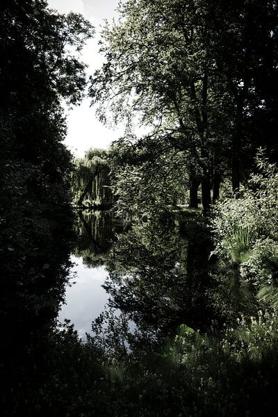 Het Park van Kees van der Rest