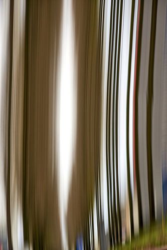 Row of trees, Abstract (1)