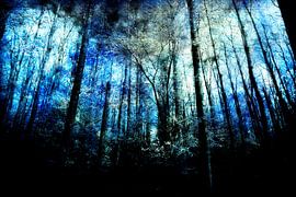 Aan het eind van een bos #03 van Peter Baak