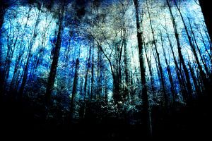 Am Ende eines Waldes #03